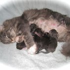 Zetta Jones et ses BB du 16 juin 2011