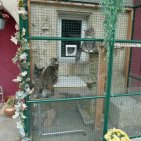 salon des coons