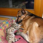 Xena et son BB