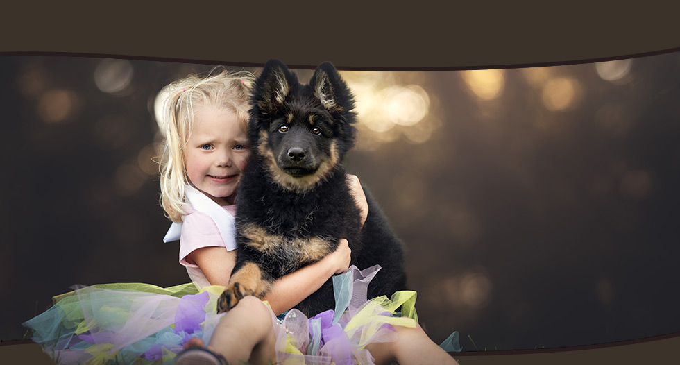 élevage de chiens de berger de Bohême