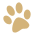 chiots berger de bohême